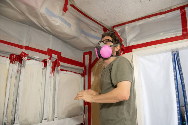 Best Industrial Mold Remediation  in Summit, AZ